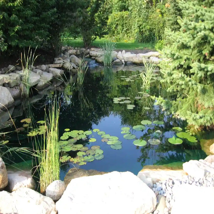 EasyPro EL2424 Pond Kit 10,000 Gallon with Skimmer