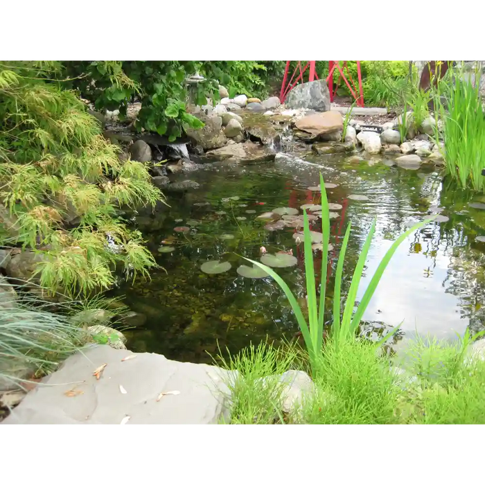 EasyPro ES11AFB Pond Kit 1400 Gallon For 11' x 11' Pond