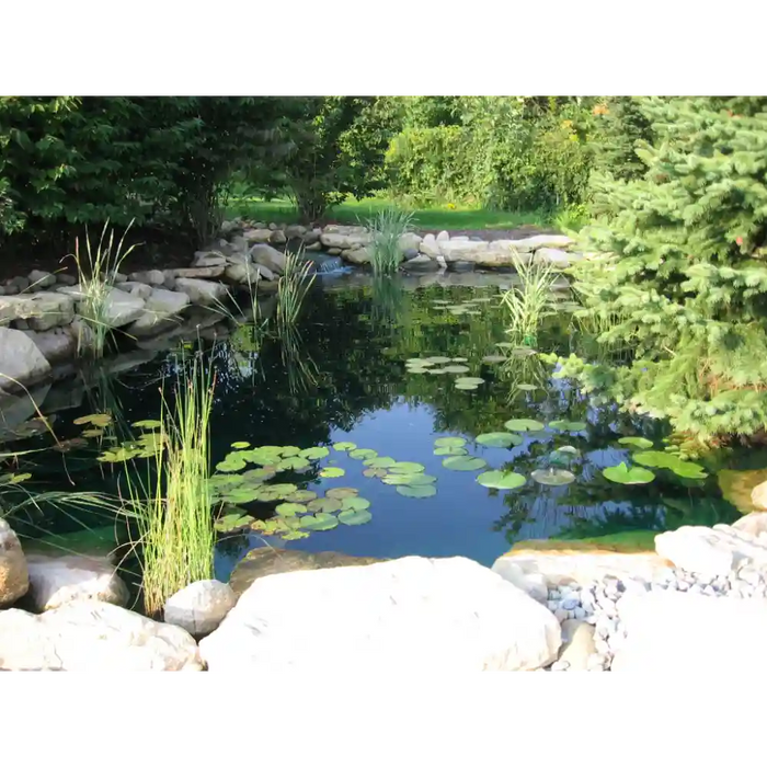 EasyPro ES16AFB Pond Kit 2000 Gallon For 11' x 16' Pond