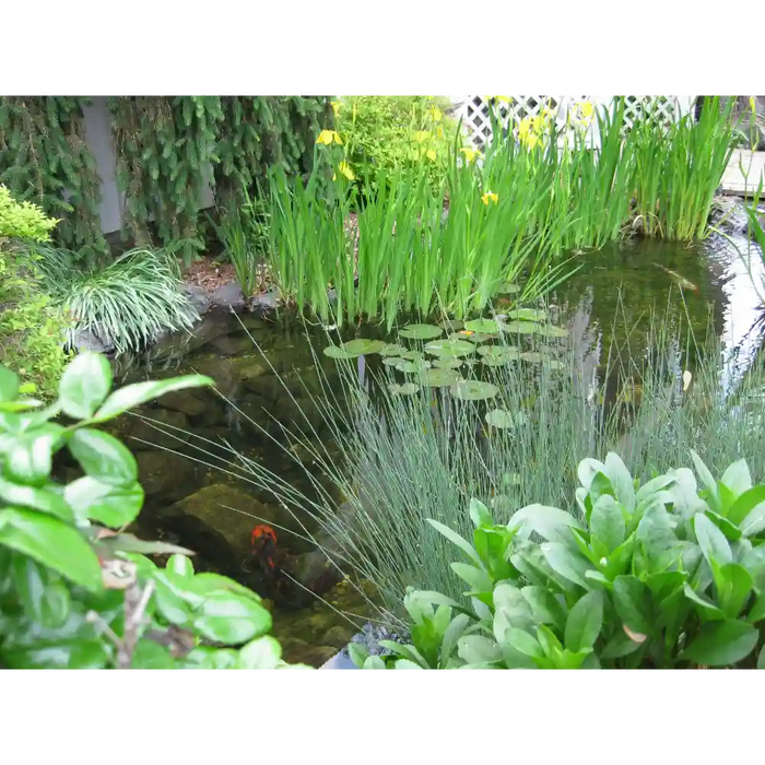 EasyPro ET811FB Pond Kit 1000 Gallon For 8' x 11' Pond