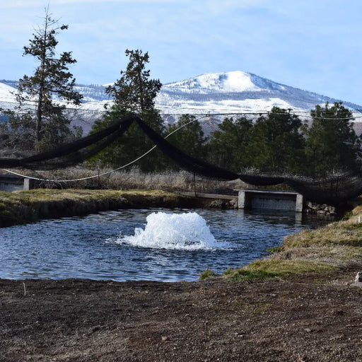 kasco_surface_aerator_in_water_with_mountains_in_background
