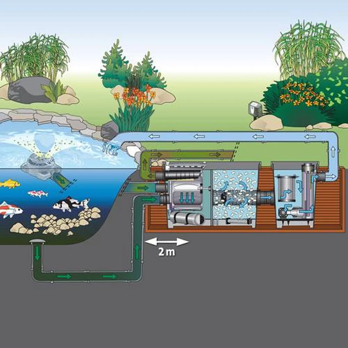 Cutaway pond diagram tracing water flow through the Oase ProfiClear Premium Compact-L Gravity Fed Drum Filter and module chambers
