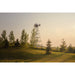 Outdoor Water Solutions 3 Leg Windmill Water Aerator on a grassy hillside among trees in golden evening light