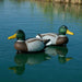 Pair of mallard duck decoy markers add-on for the Outdoor Water Solutions Steel Windmill Aerator 3 Leg