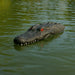 Floating alligator head decoy marker and deterrent for the Outdoor Water Solutions 4-Leg Steel Windmill Aerator